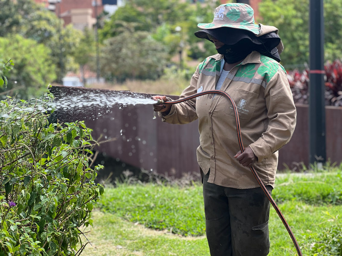 Imagen intervención zonas verdes y jardines (1)