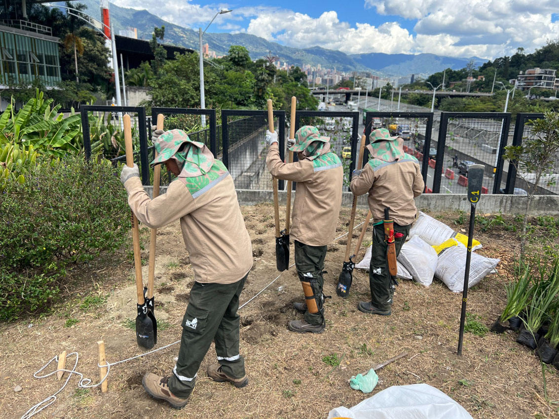 Imagen intervención zonas verdes y jardines (2)