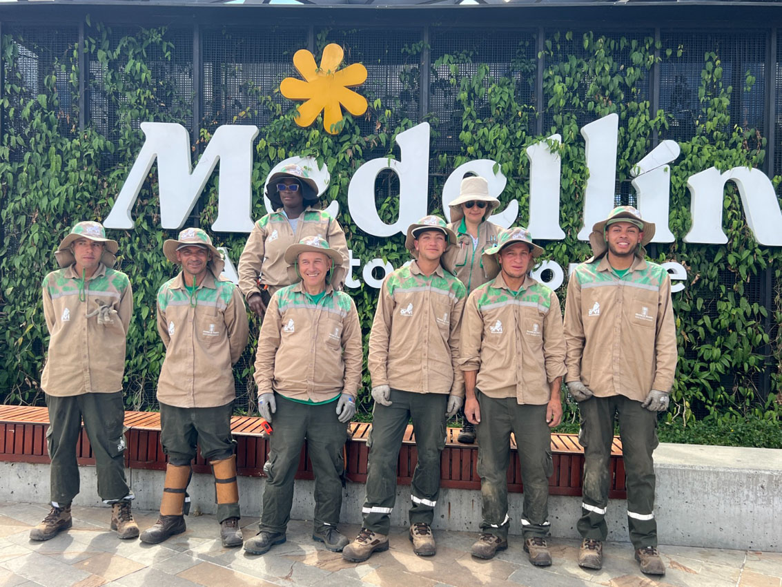 Imagen intervención zonas verdes y jardines (3)