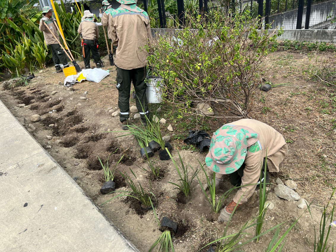 Imagen intervención zonas verdes y jardines (5)