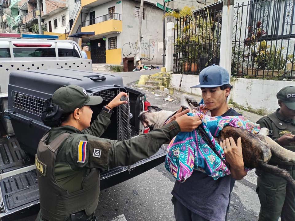 Imagen rescate de perro