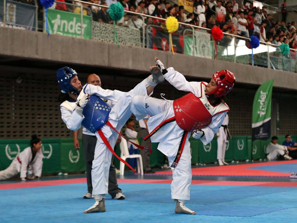 Imagen taekondo