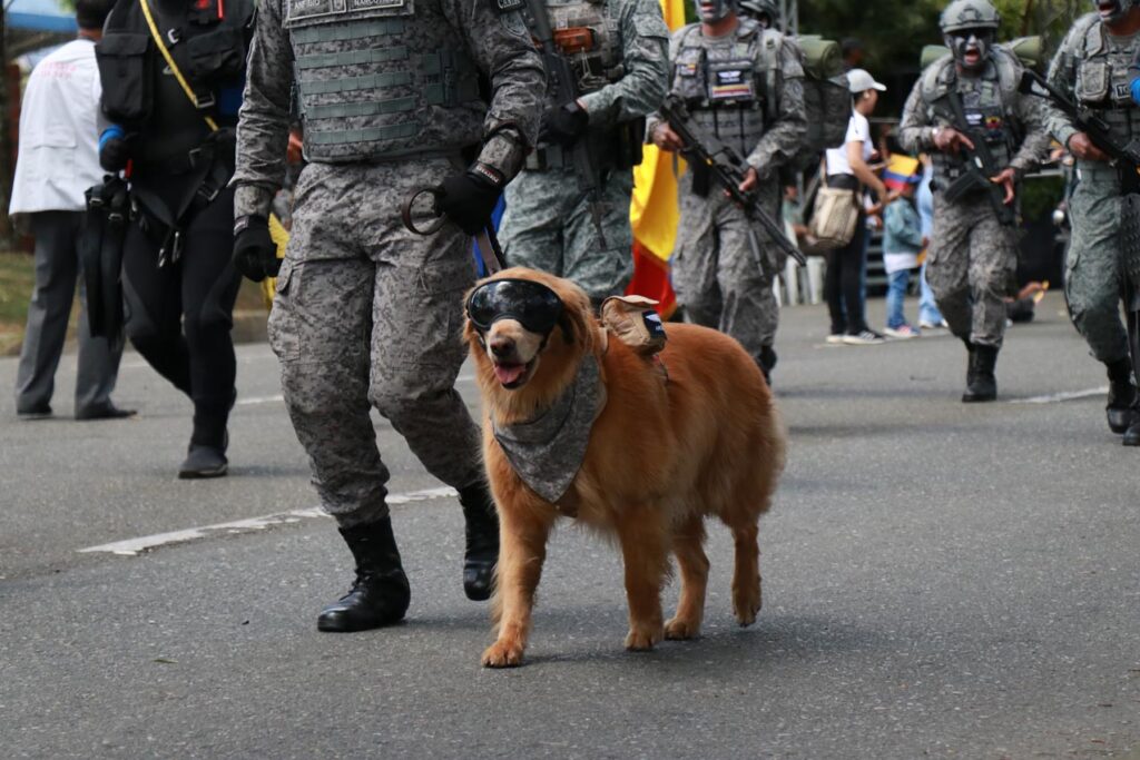 Desfile militar del 20 de julio