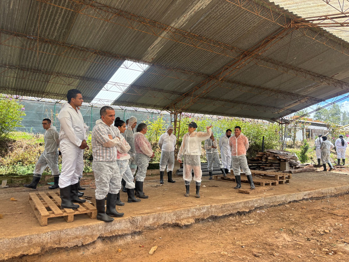 Imagen Escuelas de Campo corregimientos (2)