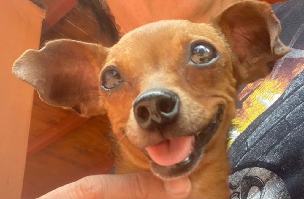 Imagen Mayita, la superheroína que llegó para quedarse en Medellín (1)