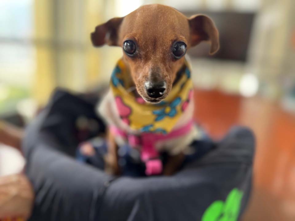 Imagen Mayita, la superheroína que llegó para quedarse en Medellín (3)