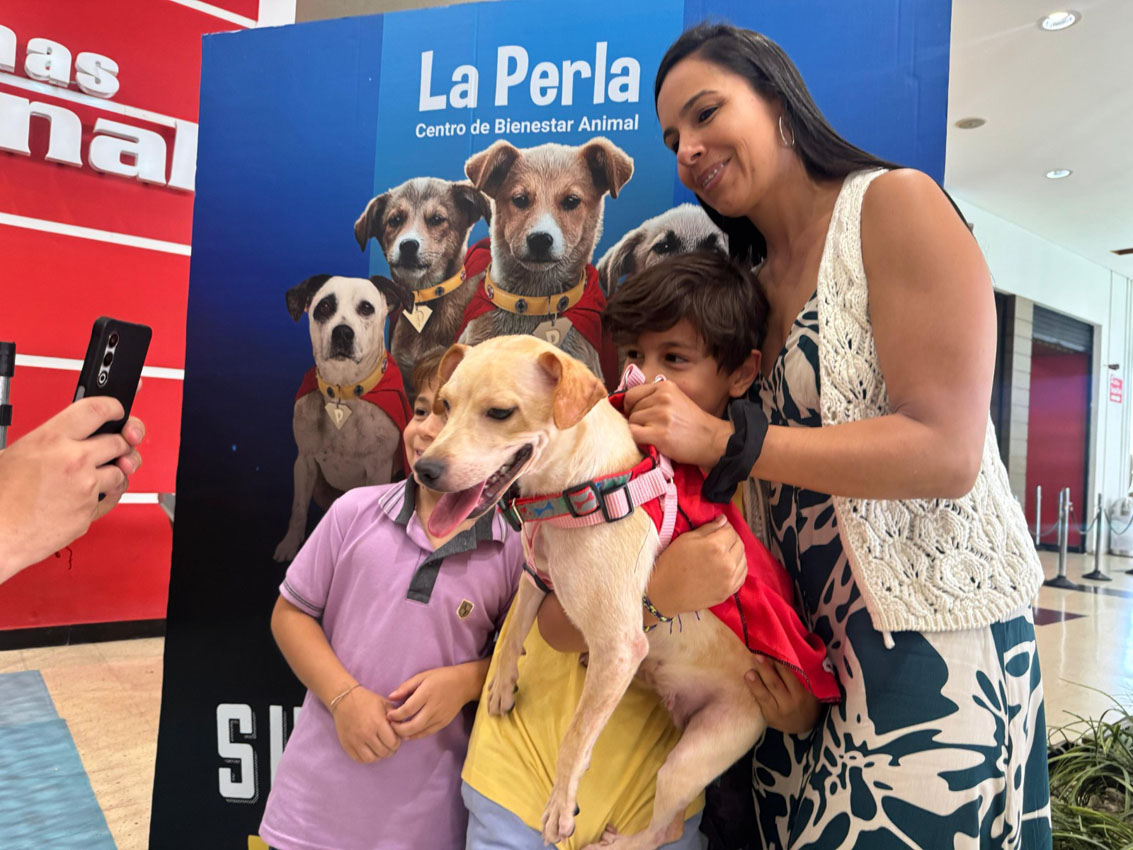 Imagen adopta un superheroe La Perla (2)