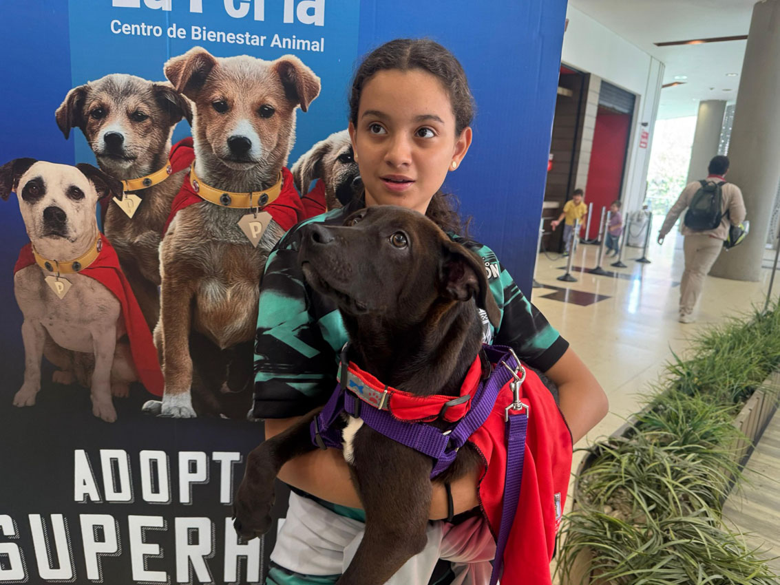 Imagen adopta un superheroe La Perla (3)