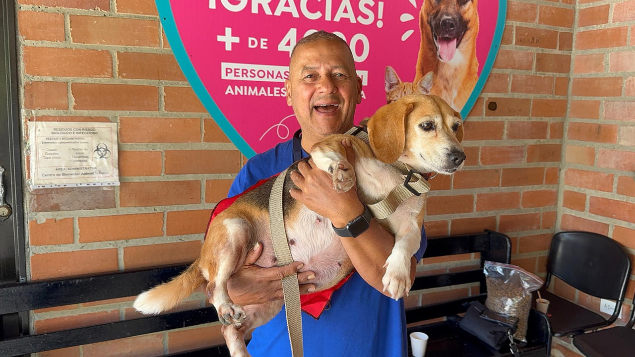 Imagen adopta un superheroe La Perla (5)
