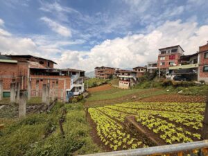 Imagen cuidado medio ambiente (3)