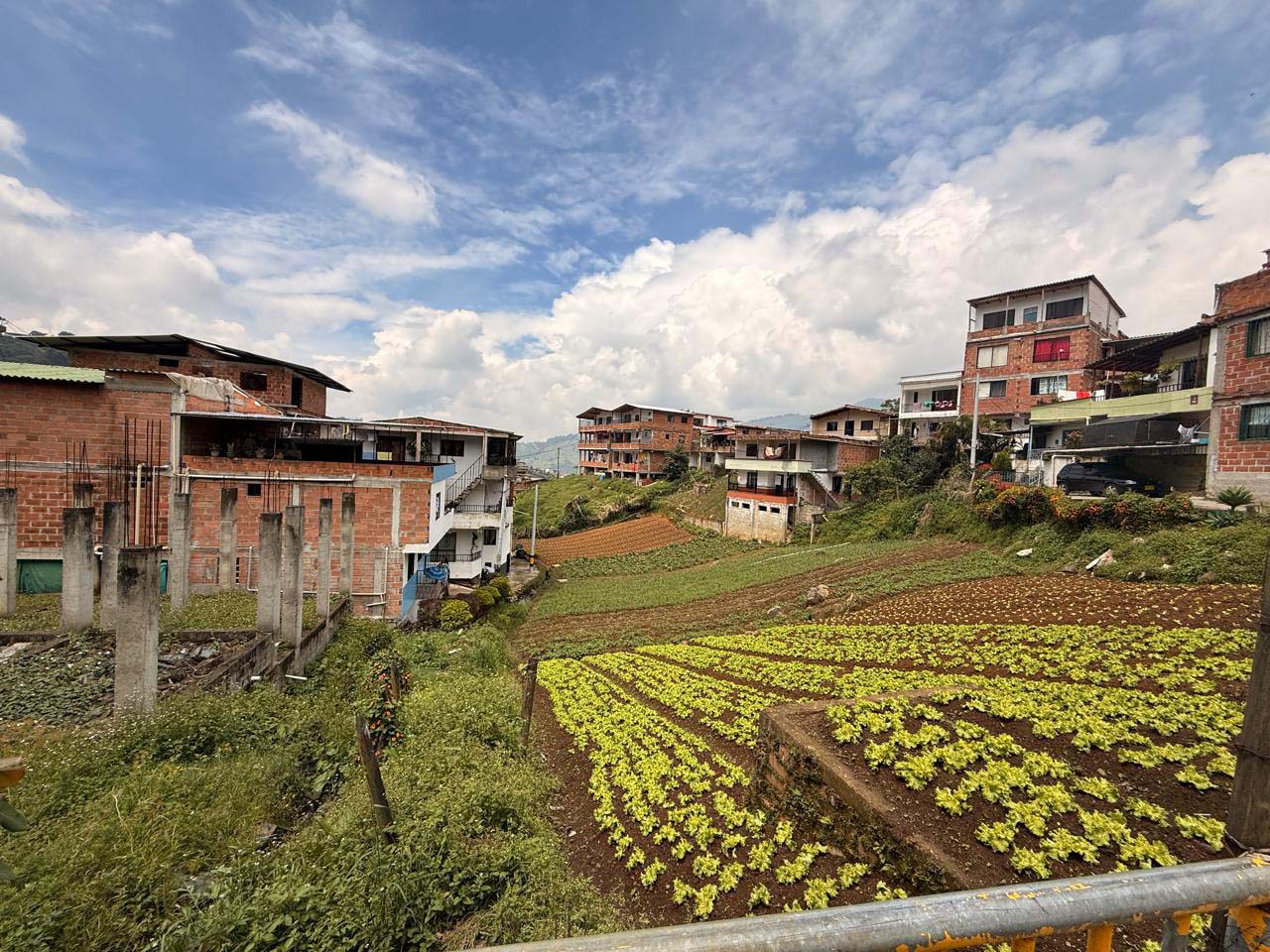 Imagen cuidado medio ambiente (3)