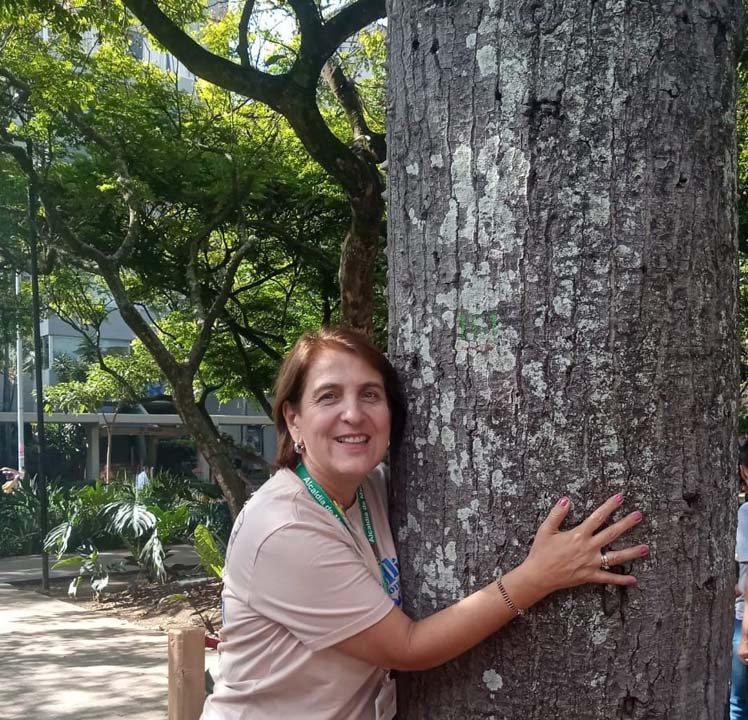 Imagen de Lucenit (2)