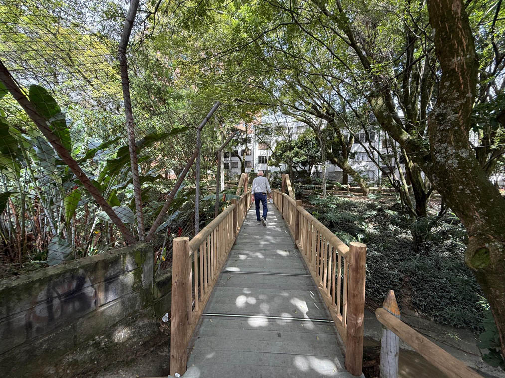 Imagen de persona caminando sobre puente peatonal