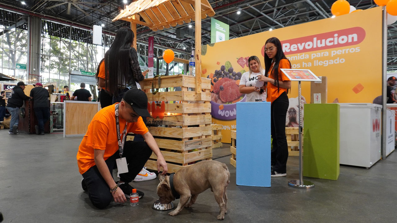 Imagen feria Hecho en Medellín (5)