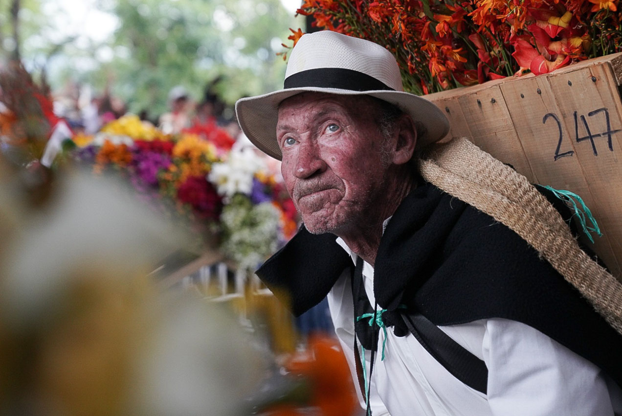 Imagen feria de las flores (8)