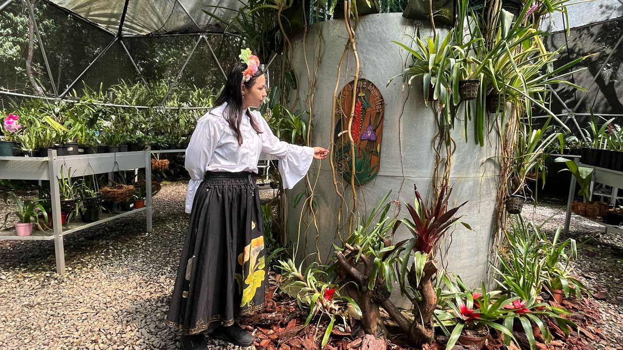 Imagen parque Arví Feria de las Flores (3)