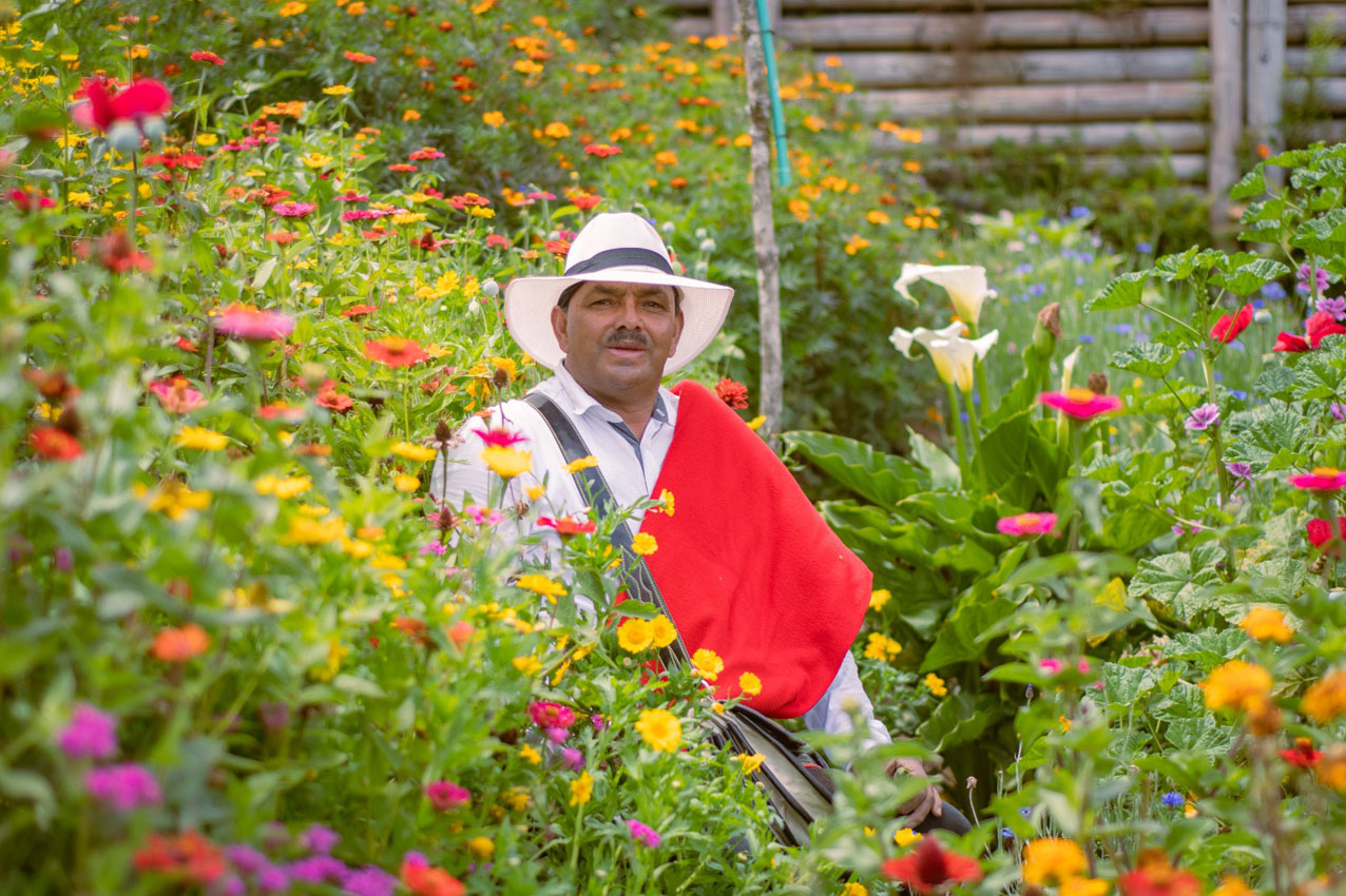 Imagen parque Arví Feria de las Flores (4)