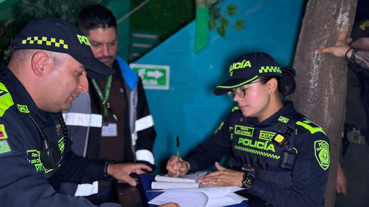 Imagen reducción de hurto a comercios seguridad (6)