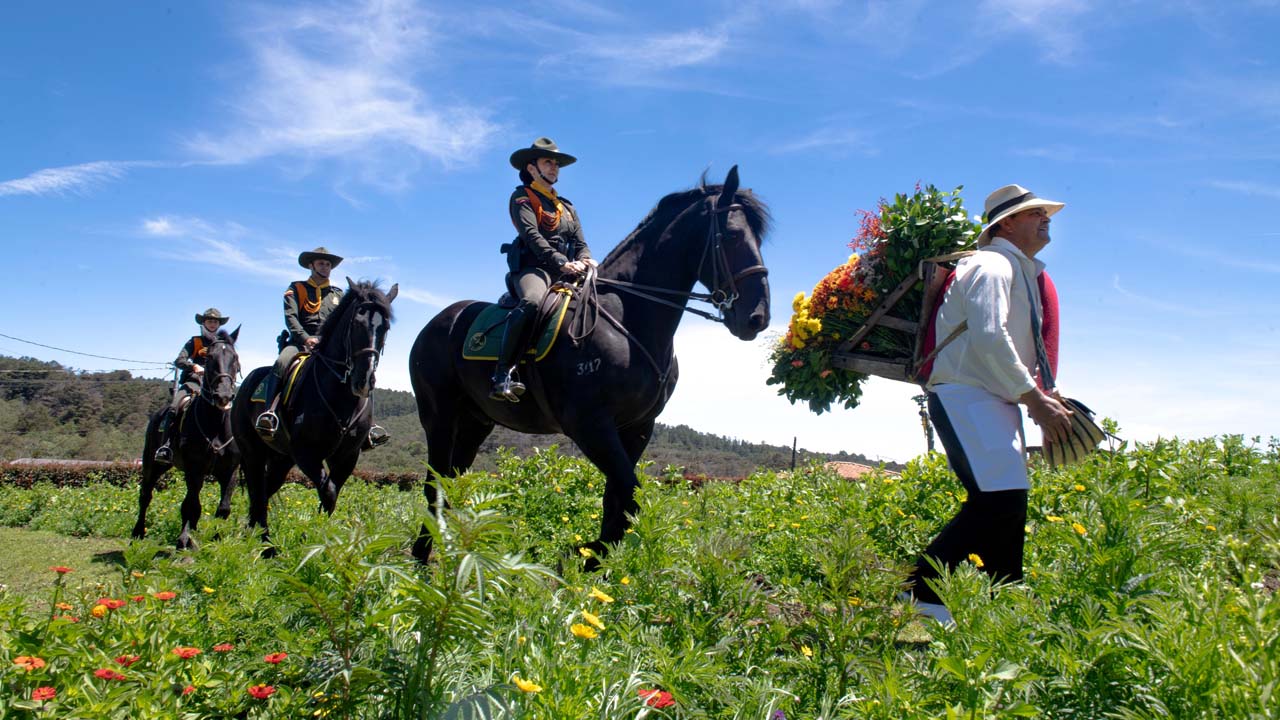 imagen policías custodiando la Feria de las Flores 2025 (4)