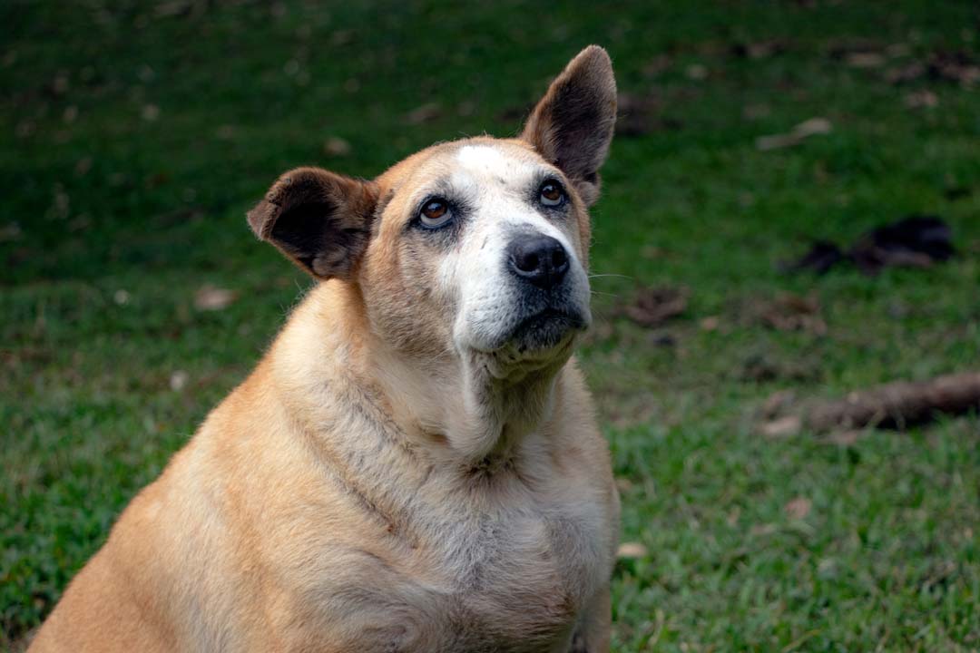 Imagen Hilda Geriátra 1