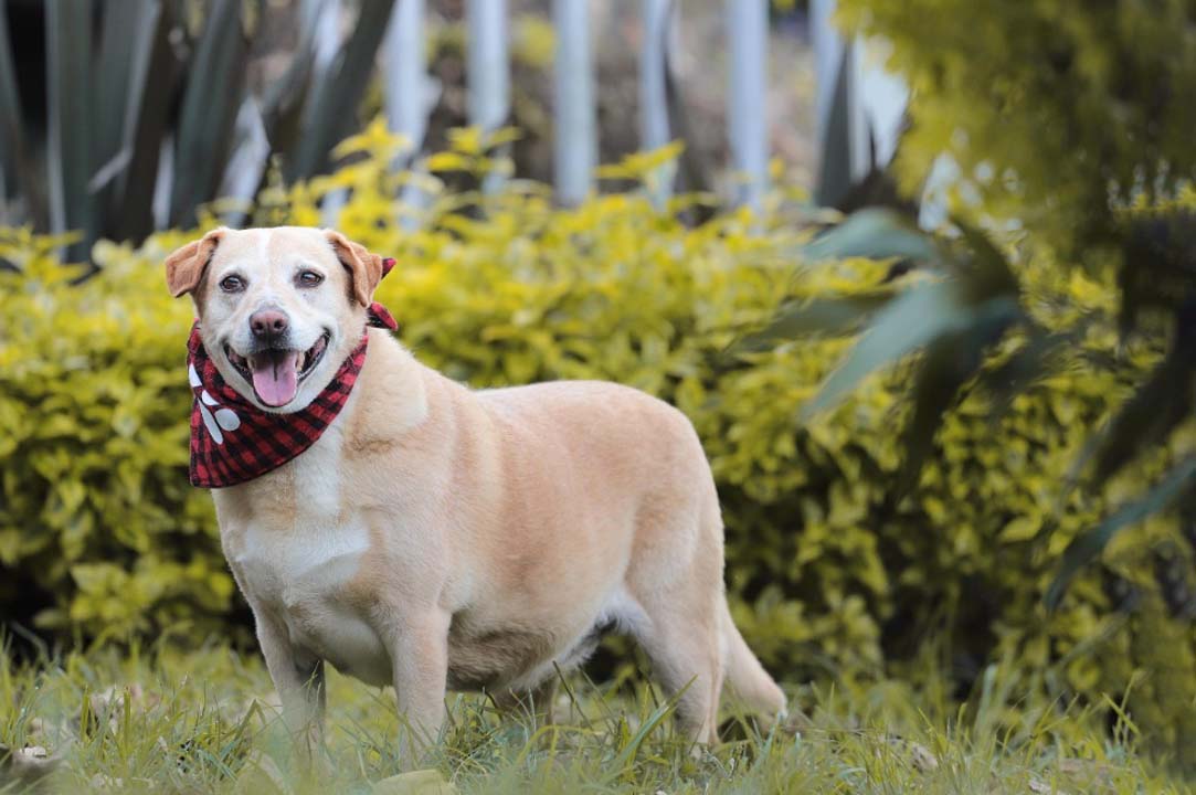 Imagen Hilda señora