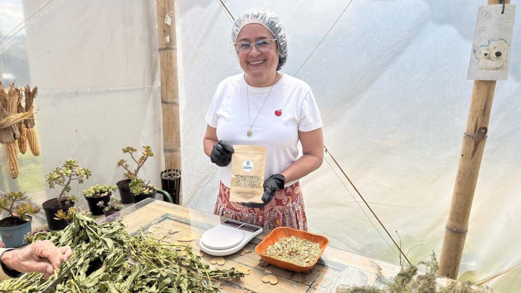 Imagen 331 hogares de los corregimientos de Medellín son ahora más sostenibles Principal