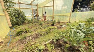 Imagen 331 hogares de los corregimientos de Medellín son ahora más sostenibles ppal