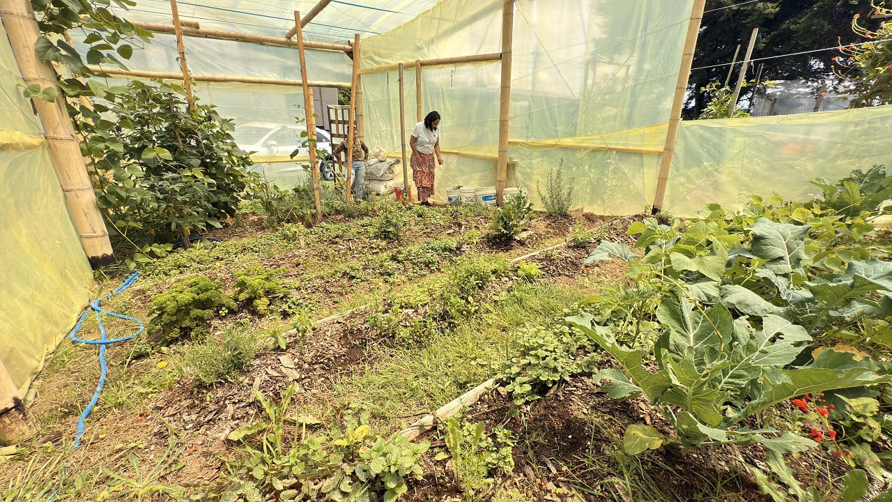 Imagen 331 hogares de los corregimientos de Medellín son ahora más sostenibles ppal