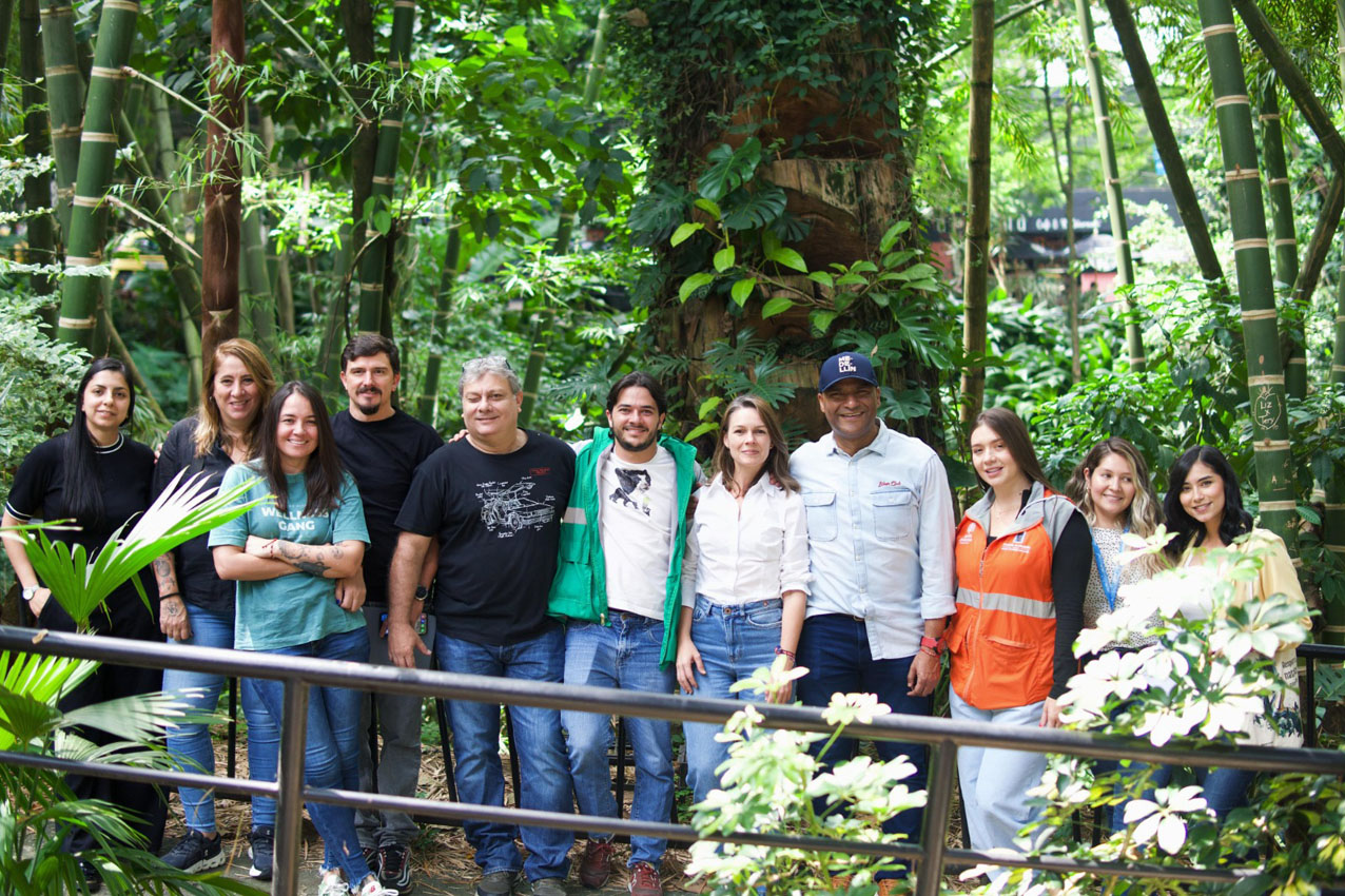 Imagen Árbol cortado en provenza que es refugio (5)