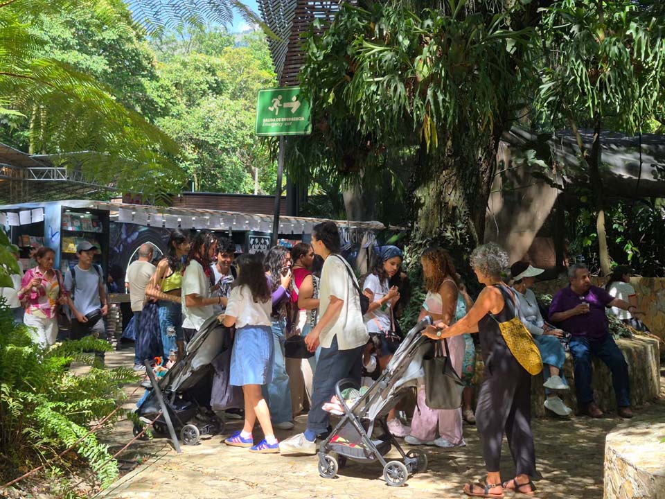 Imagen Capital Mundial del Libro COCHES