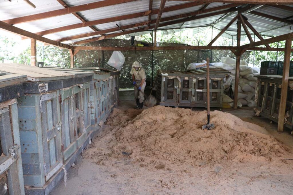 Imagen La Perla avanza con acciones por el bienestar de los animales (1)