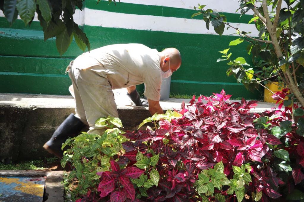 Imagen La Perla avanza con acciones por el bienestar de los animales (1)