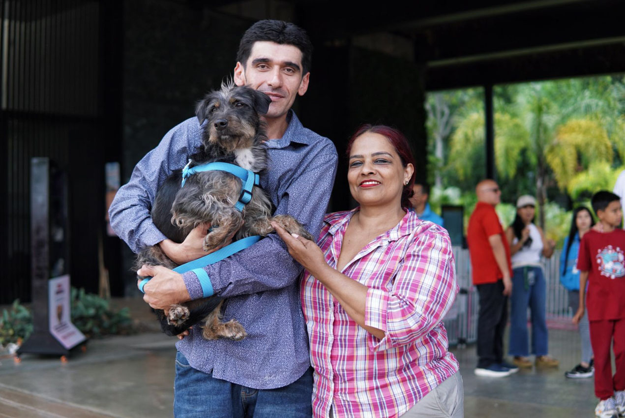 Imagen adoptaton La Perla (1)