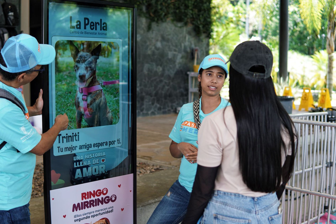 Imagen adoptaton La Perla (2)