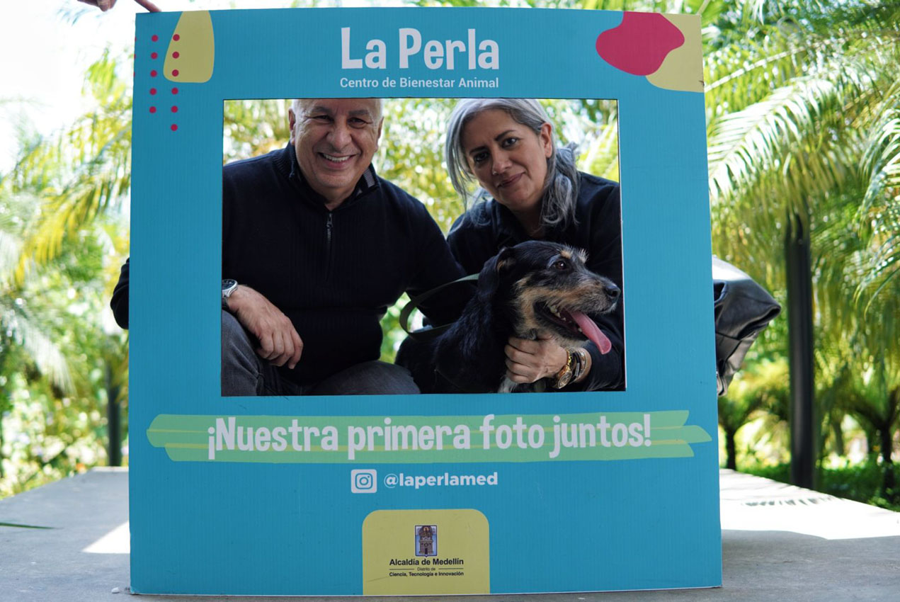 Imagen adoptaton La Perla (3)