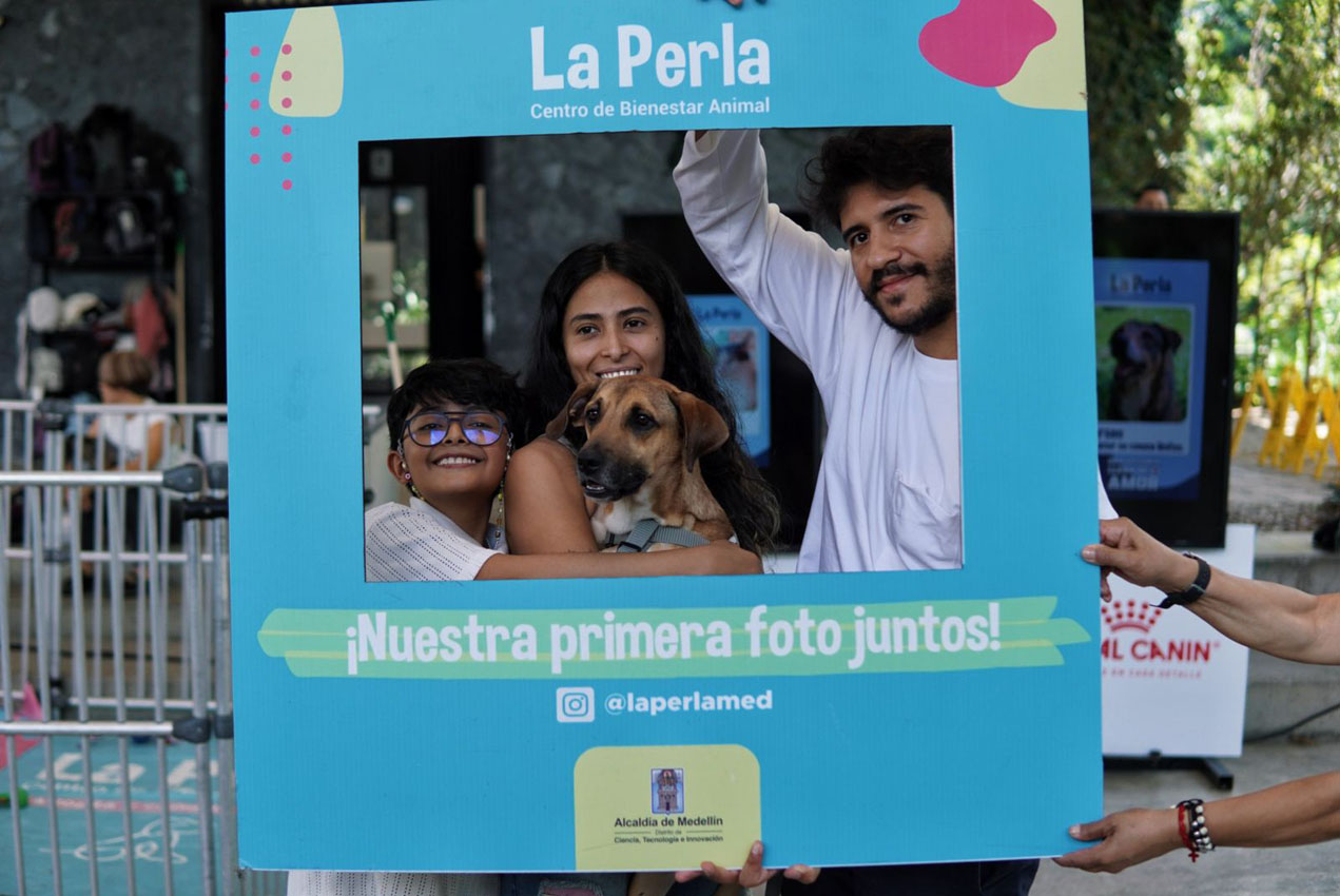 Imagen adoptaton La Perla (5)