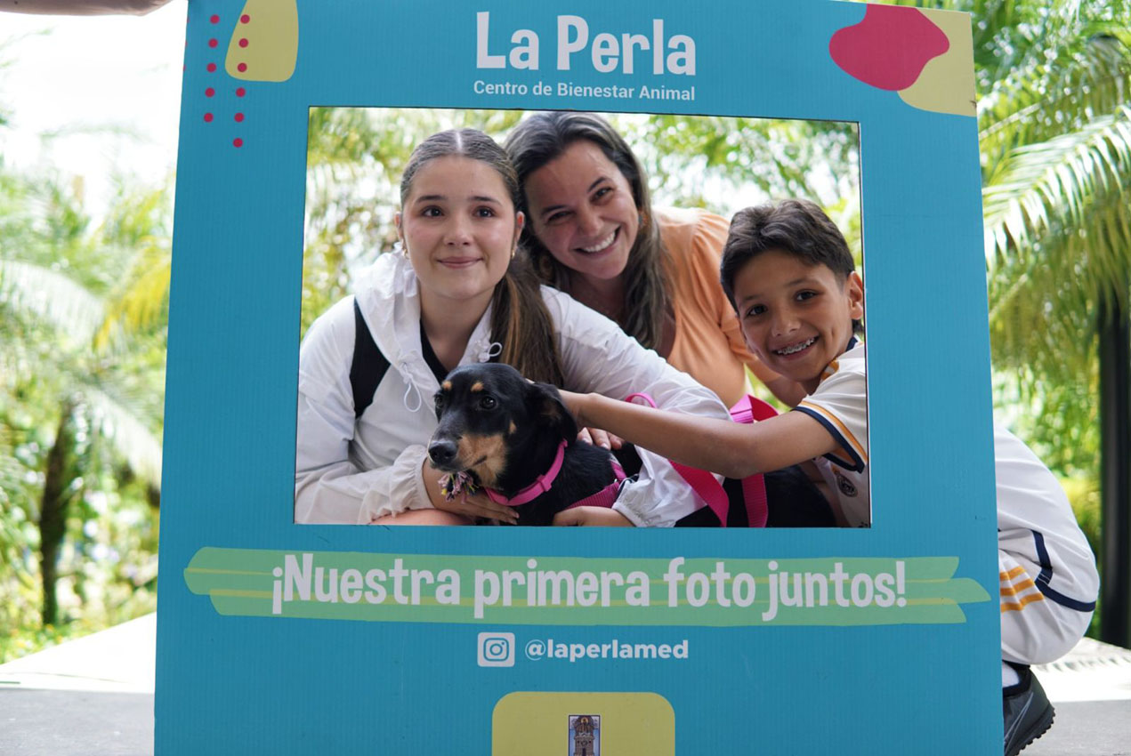 Imagen adoptaton La Perla (6)