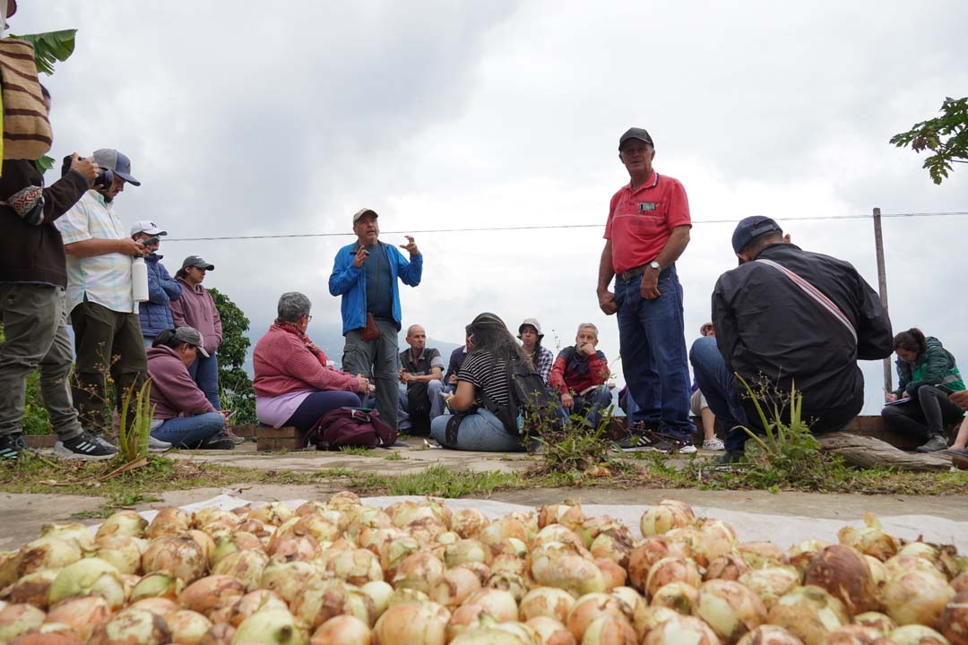 Imagen agroecología, una semilla que da frutos en Medellín (13)