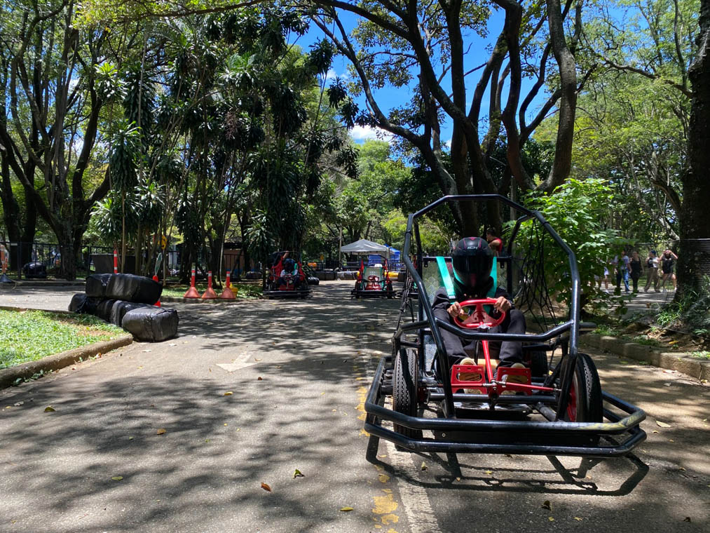 Imagen de buggie en el Parque Norte