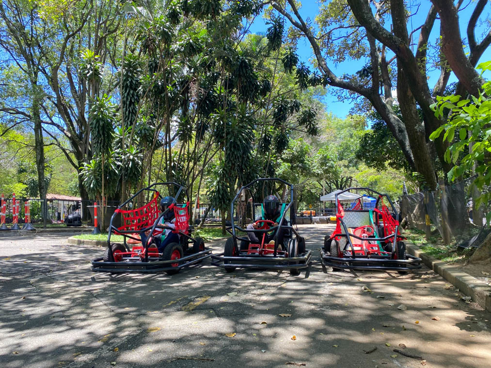 Imagen de buggies en el Parque Norte