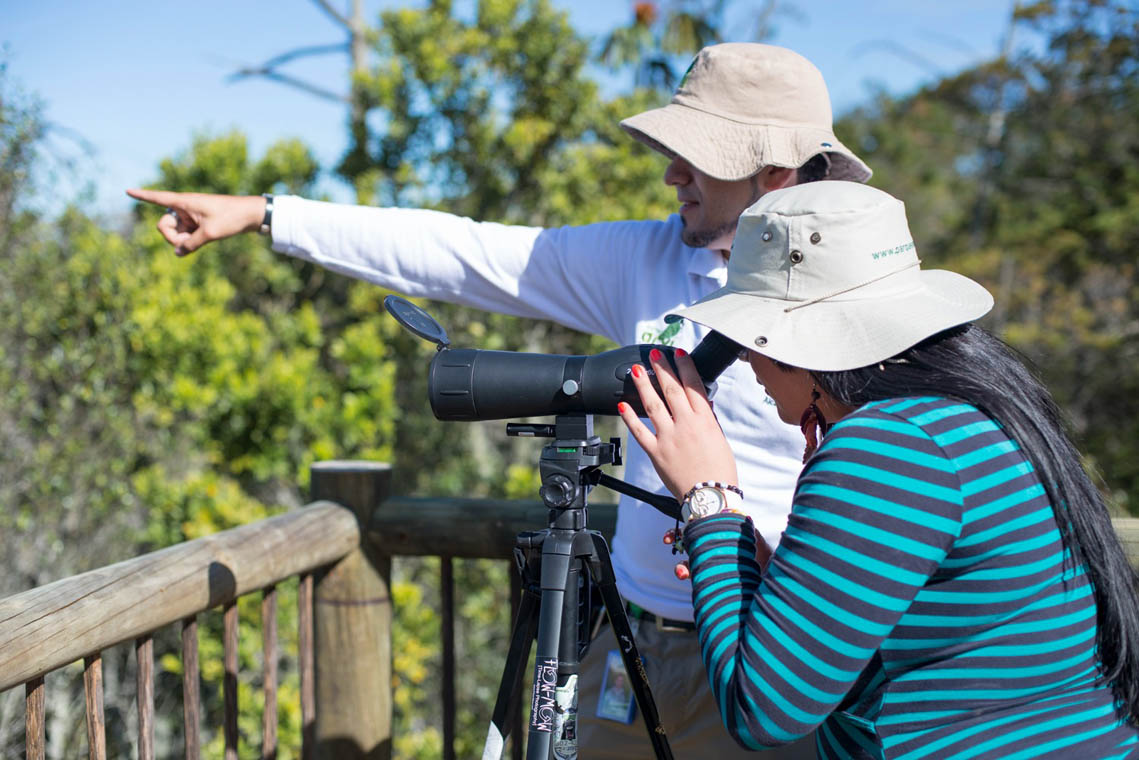 Imagen de observadores de aves