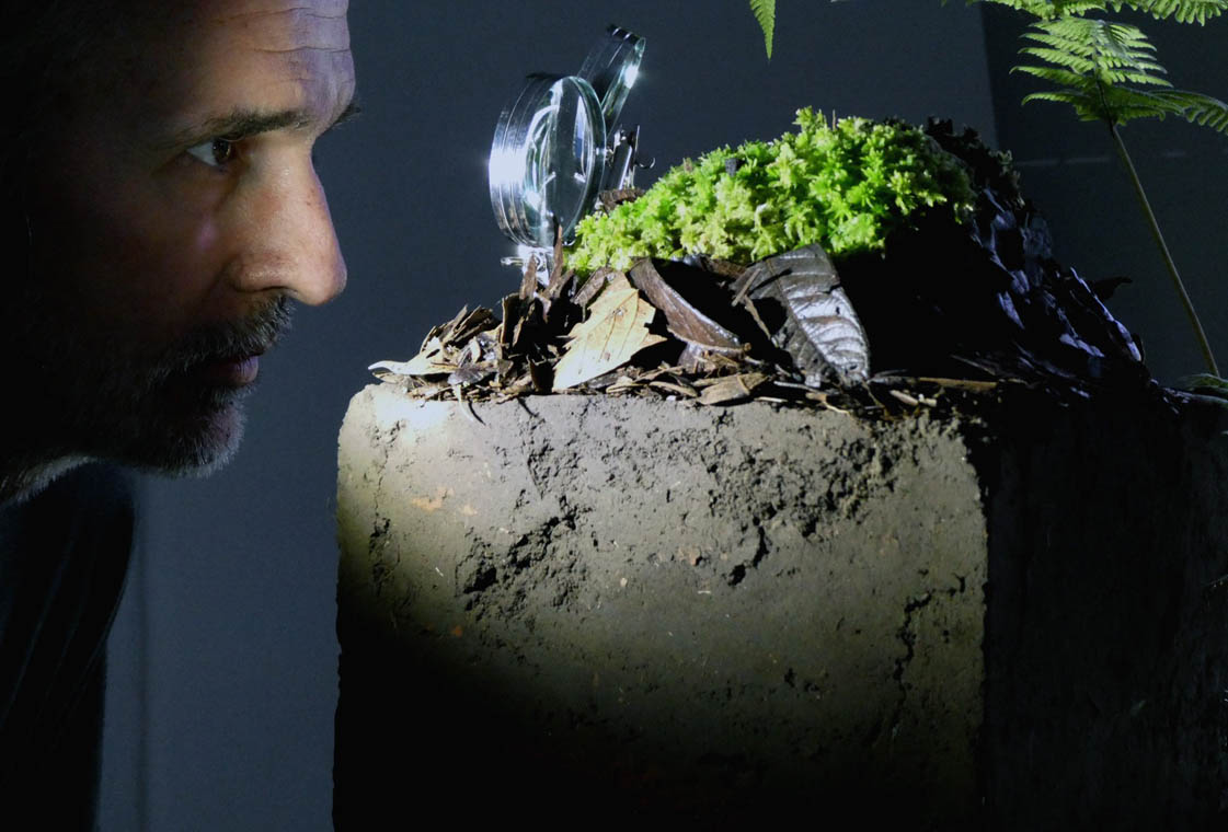 Imagen de una persona mirando una planta