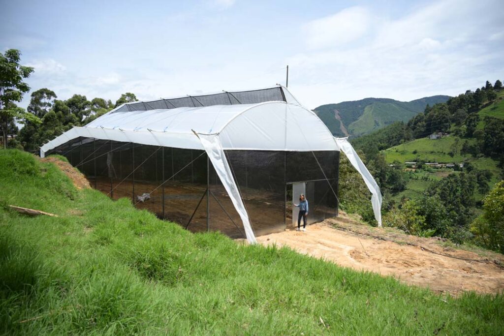 imagen orquídeas que se convirtió en una empresa familiar (15)