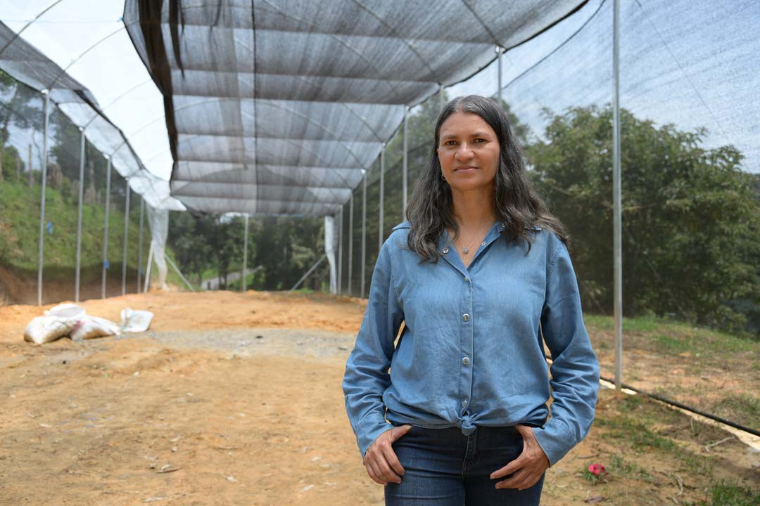 imagen orquídeas que se convirtió en una empresa familiar (17)