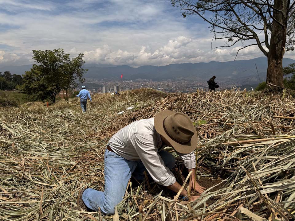 Imagen señor con personas que siembran
