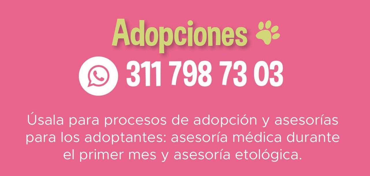 Imagen Adopciones La Perla 311 798 7303
