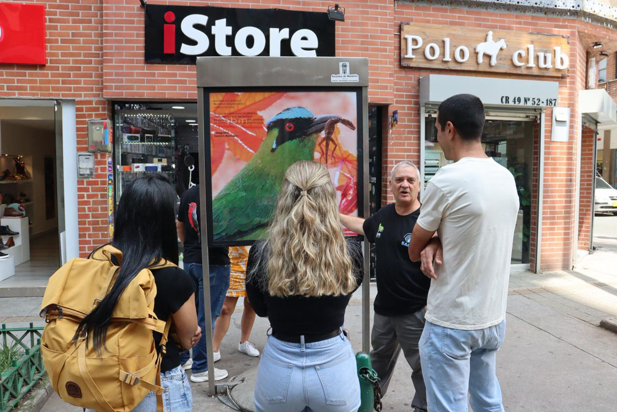 Centro de Medellín Imagen Centro de Medellín Aves (1)