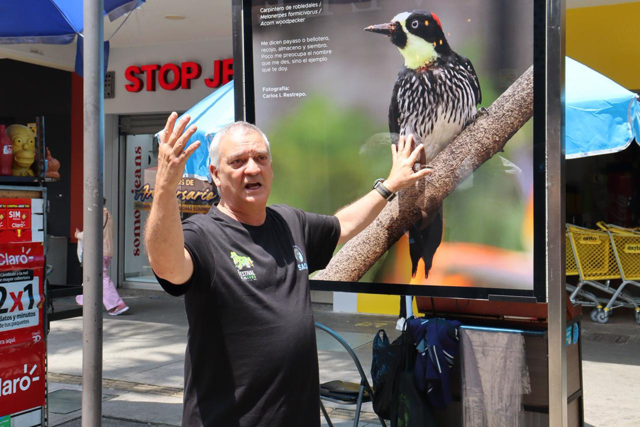 Centro de Medellín Imagen Centro de Medellín Aves (3)