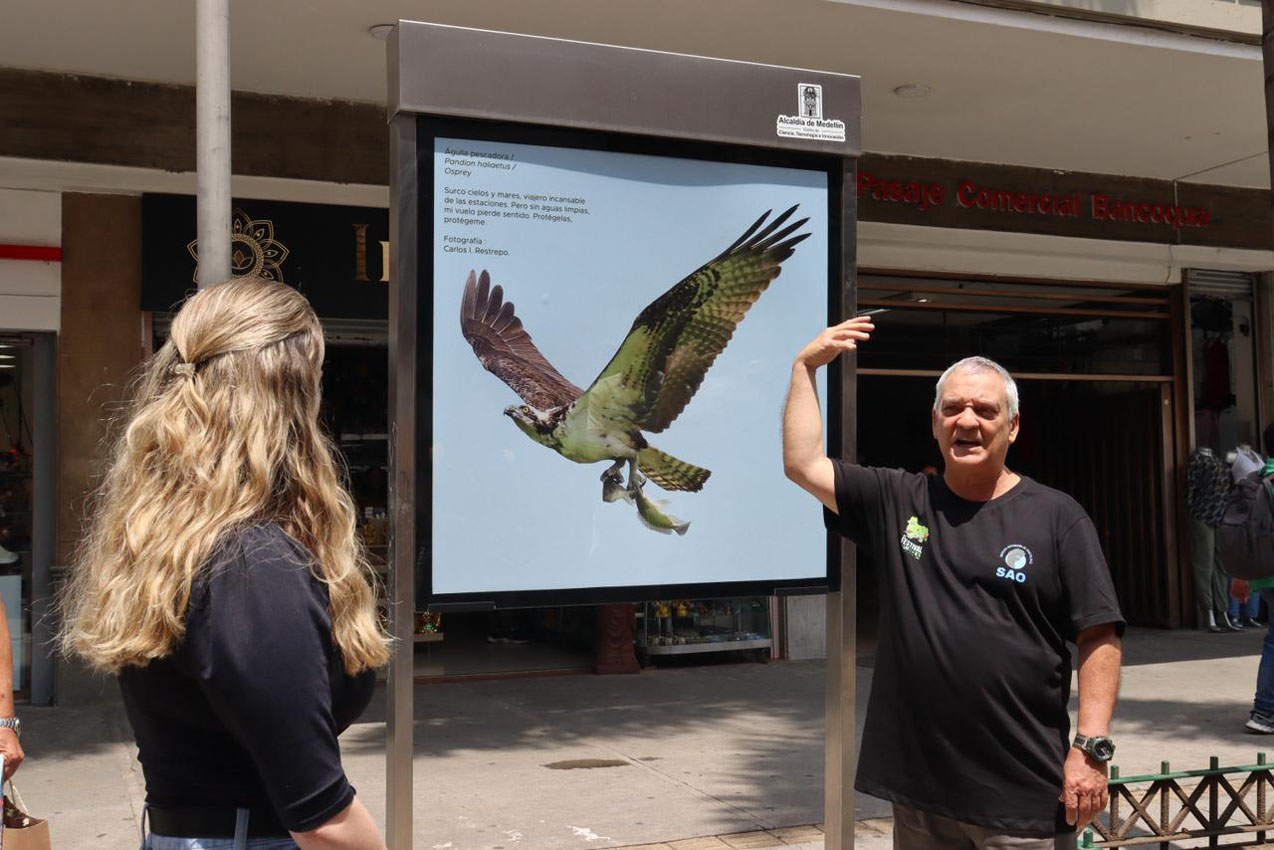 Imagen Centro de Medellín Aves (4)