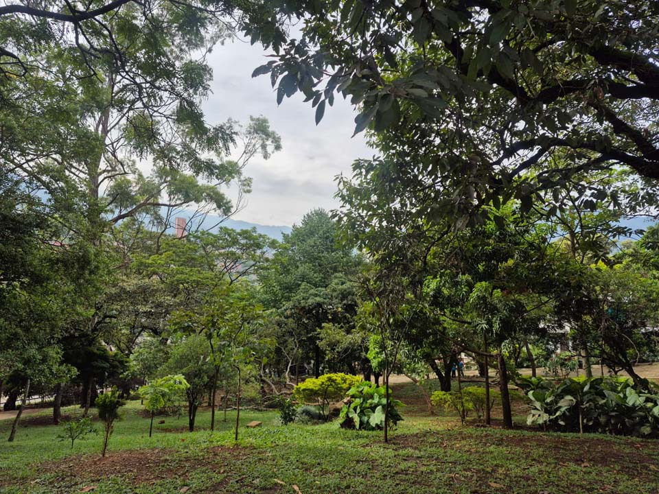 Imagen Centros Vida Gerontológicos de Medellín ÁRBOLES 1